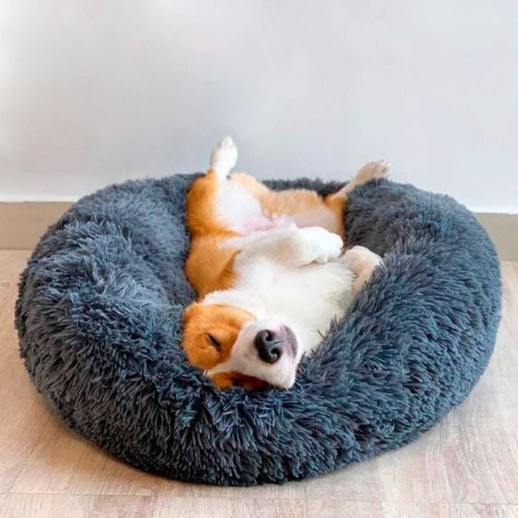 Cama Dona Antiestrés - Nido Zen - Zen Tails